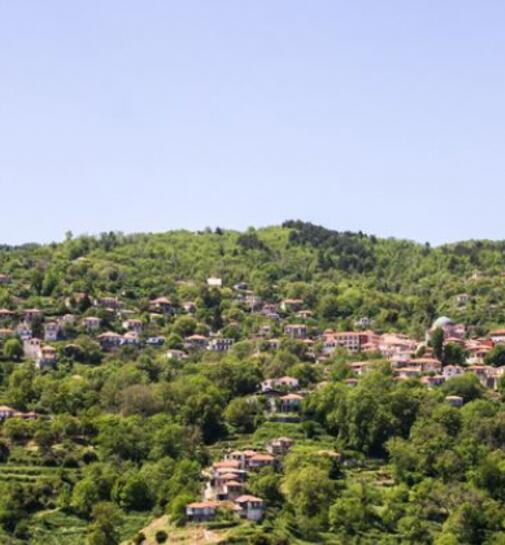 Περίπατοι στον Άγιο Πέτρο Κυνουρίας