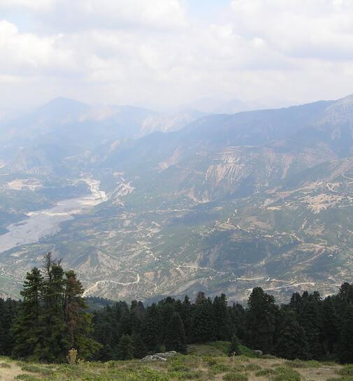 Πεζοπορία στο δάσος της Μυρμιτζάλας