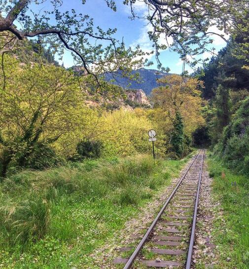 Πεζοπορία στον Βουραϊκό