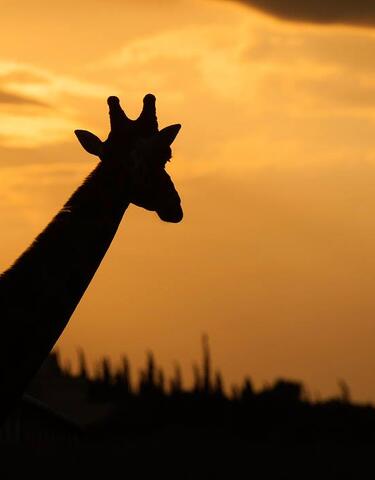 Επίσκεψη στο Αττικό Ζωολογικό Πάρκο