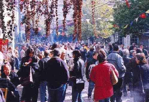 Γιορτή Κάστανου